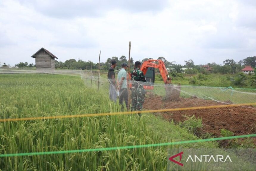 TNI Kodim 0416/Bute Jambi Bangun Sodetan untuk Tingkatkan Produktivitas Pertanian 1