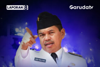 Buntut Bobotoh Rusak Rumput GBLA, KDM: Pidana atau Barak? 38