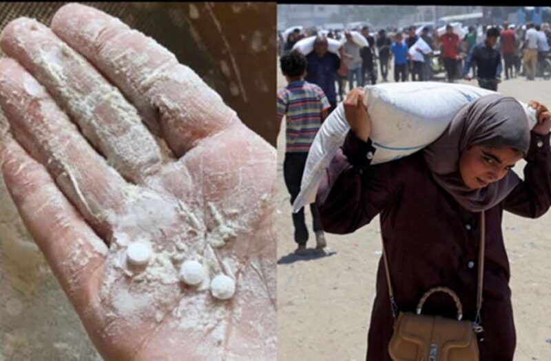 Mengenal Bahaya Oxycodone di Balik Bantuan Kemanusiaan untuk Gaza
