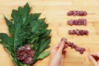 Manfaat Daun Pepaya untuk Daging Kambing, Empuk dan Bebas Bau Prengus