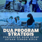 Dua Program Strategis Pemerintah Akan Serap Jutaan Tenaga Kerja