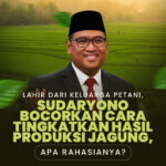 Lahir dari Keluarga Petani, Sudaryono Bocorkan Cara Tingkan Hasil Produksi Jagung, Apa Rahasianya?