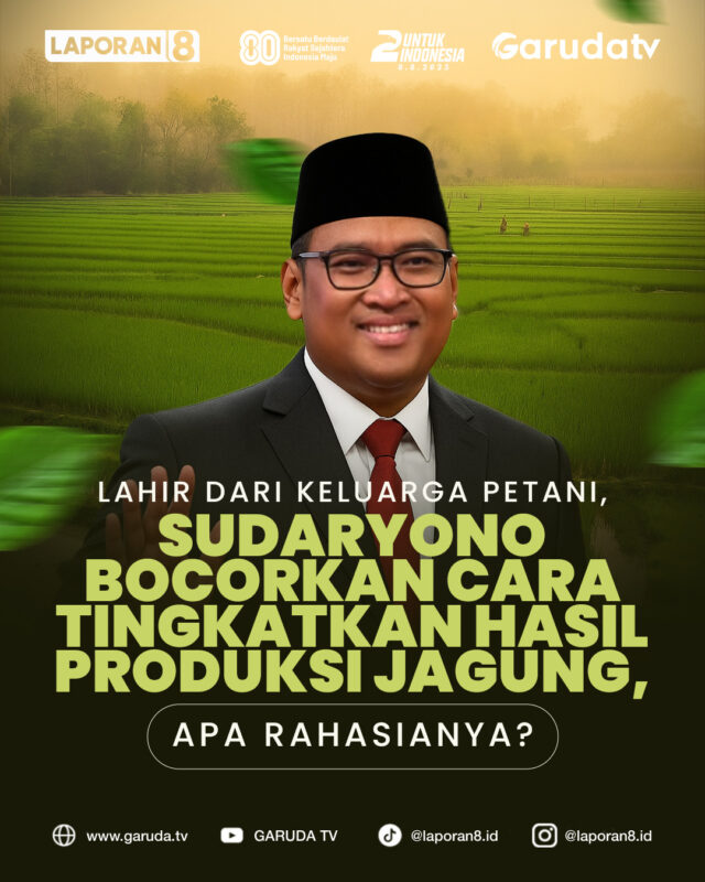 Lahir dari Keluarga Petani, Sudaryono Bocorkan Cara Tingkan Hasil Produksi Jagung, Apa Rahasianya?