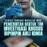 MBG, Nasional, Indonesia, Pemerintah