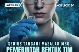 MBG, Nasional, Indonesia, Pemerintah