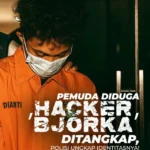 Hacker. Bjorka, Kriminal