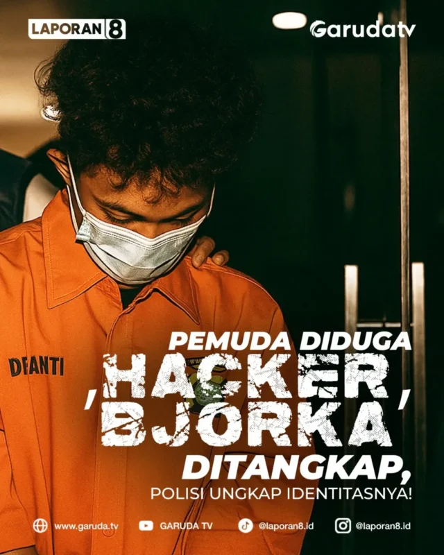 Hacker. Bjorka, Kriminal